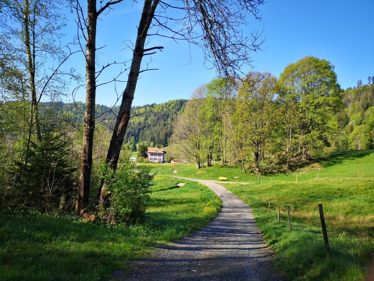 B4 Albmatte-FEWO Menzenschwand-Hinterdorf Exterior foto