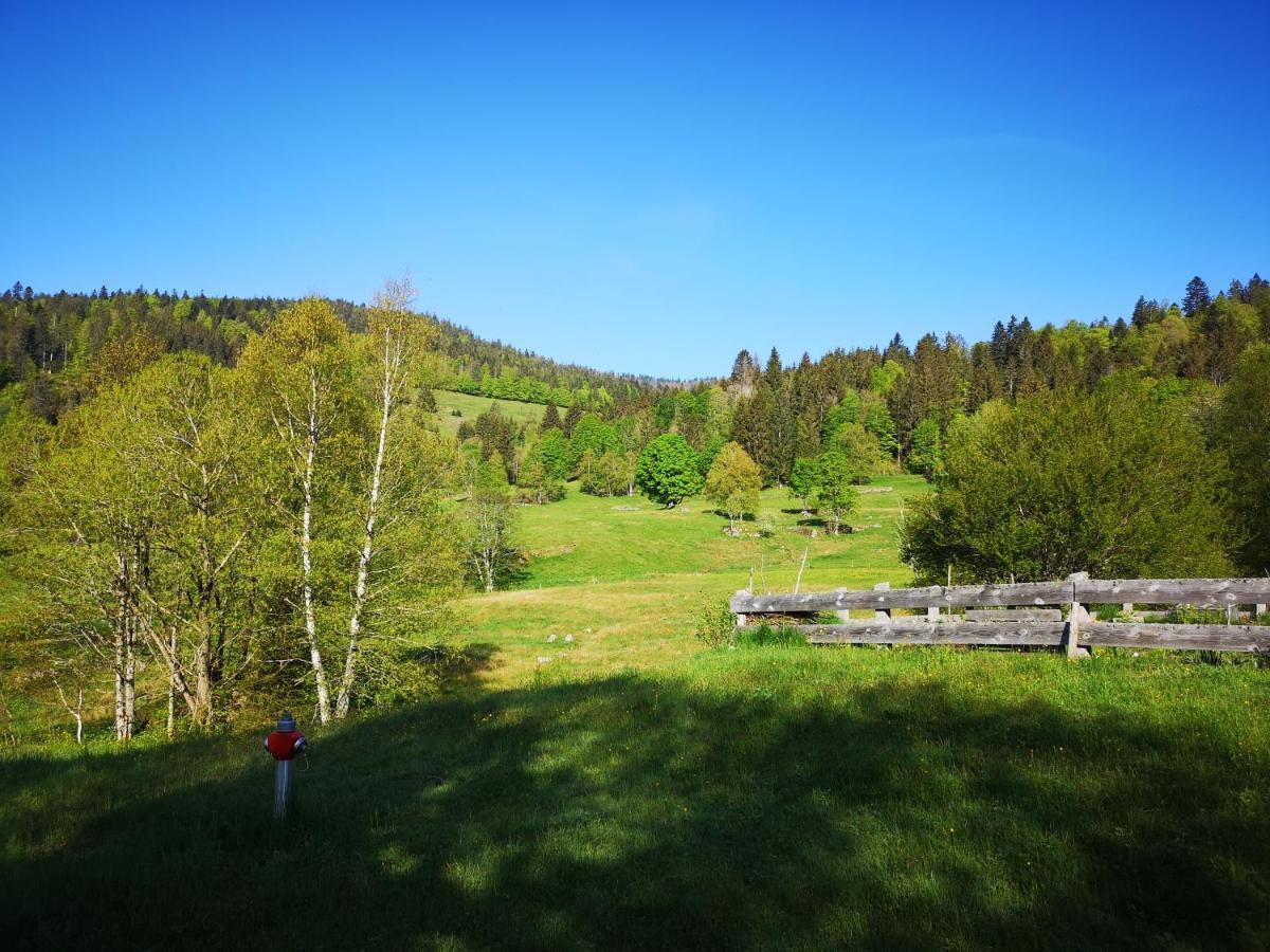 B4 Albmatte-FEWO Menzenschwand-Hinterdorf Exterior foto