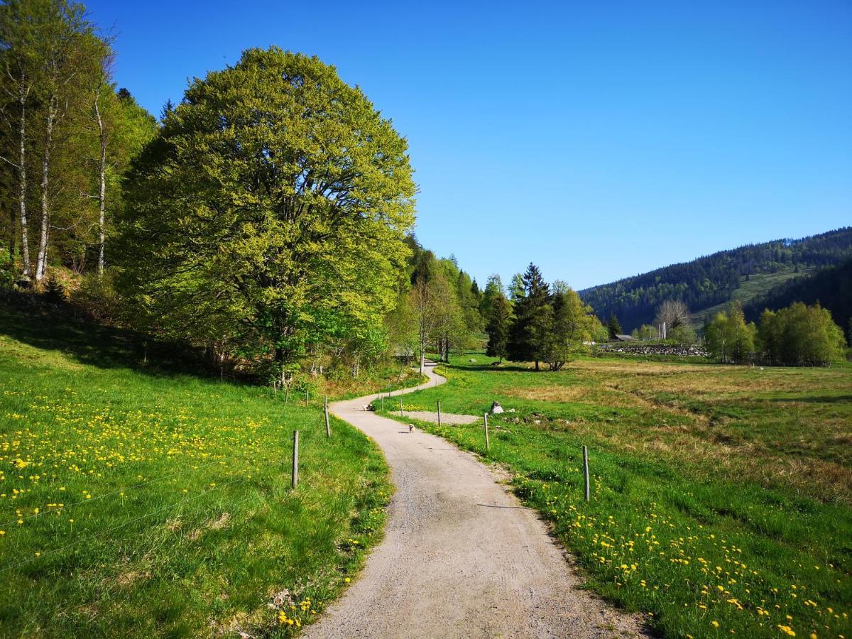 B4 Albmatte-FEWO Menzenschwand-Hinterdorf Exterior foto