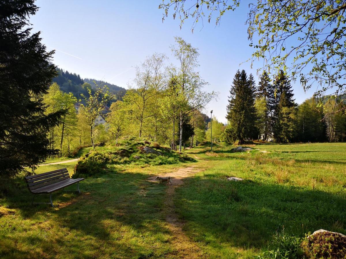 B4 Albmatte-FEWO Menzenschwand-Hinterdorf Exterior foto