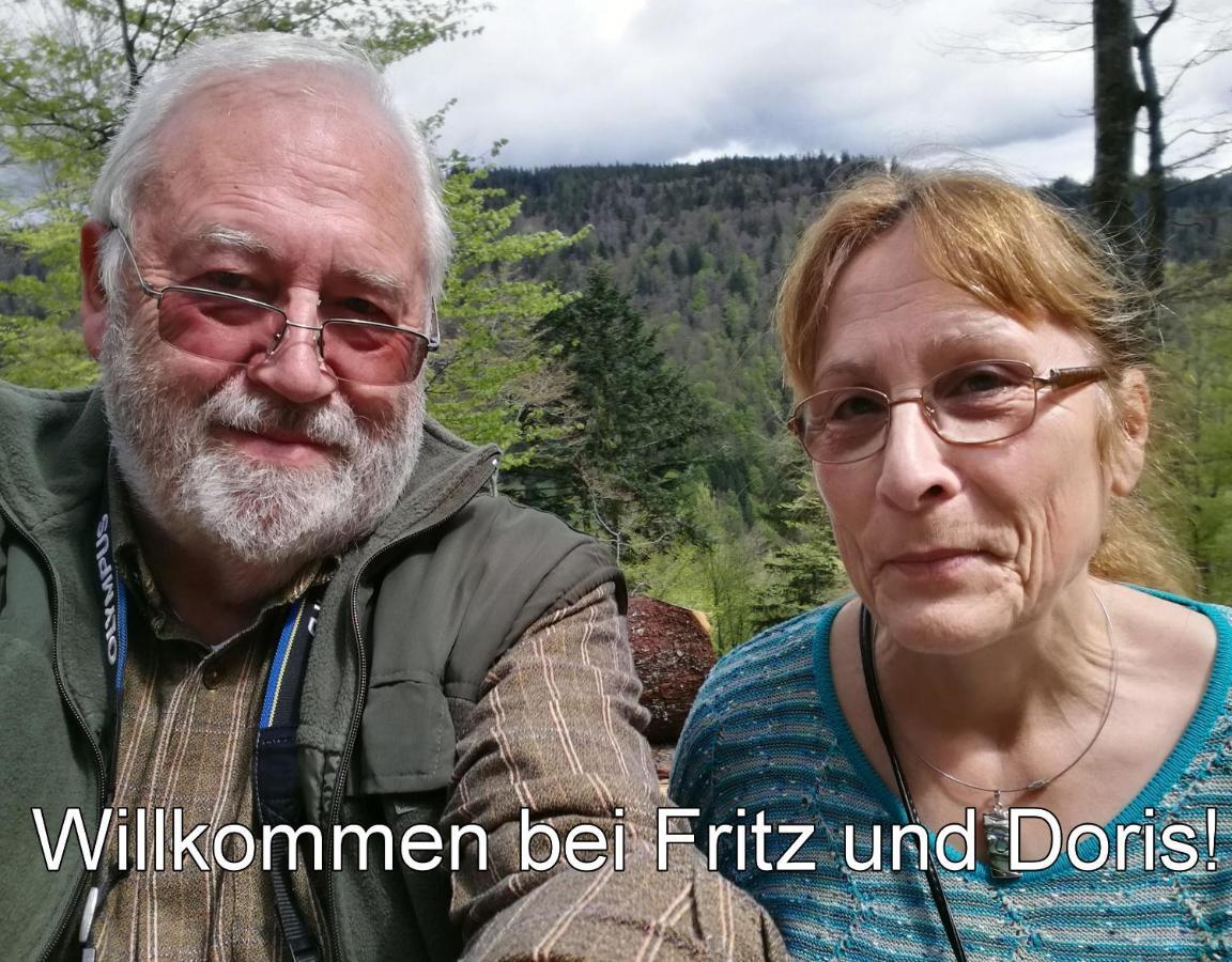 B4 Albmatte-FEWO Menzenschwand-Hinterdorf Exterior foto