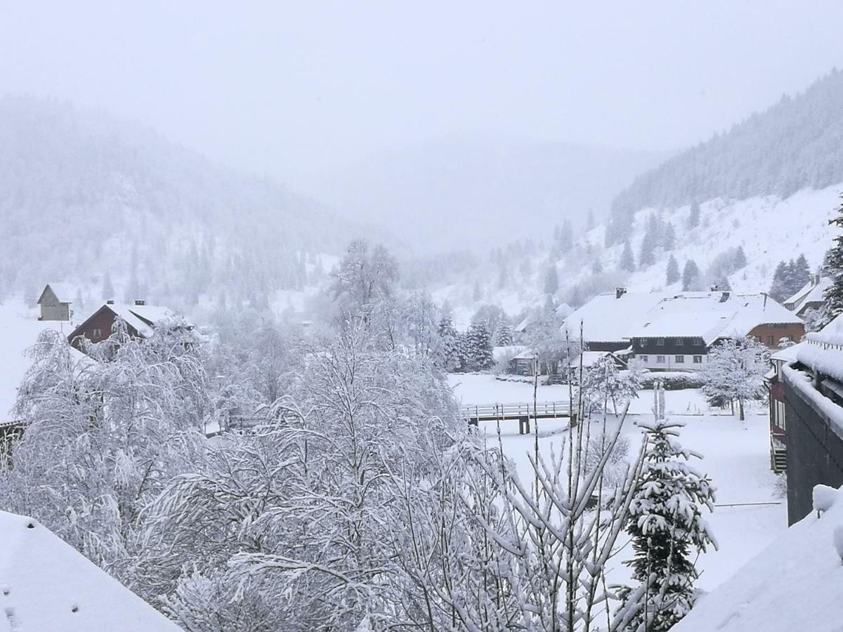 B4 Albmatte-FEWO Menzenschwand-Hinterdorf Exterior foto