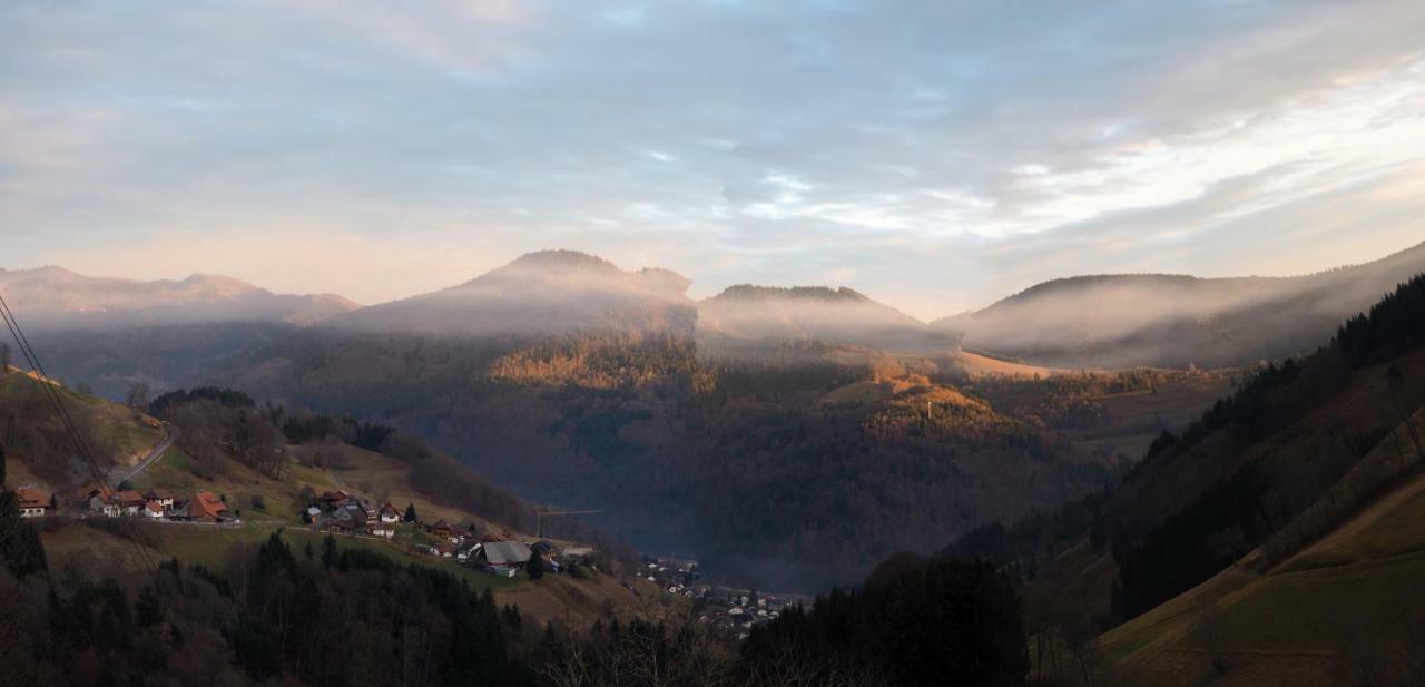 B4 Albmatte-FEWO Menzenschwand-Hinterdorf Exterior foto
