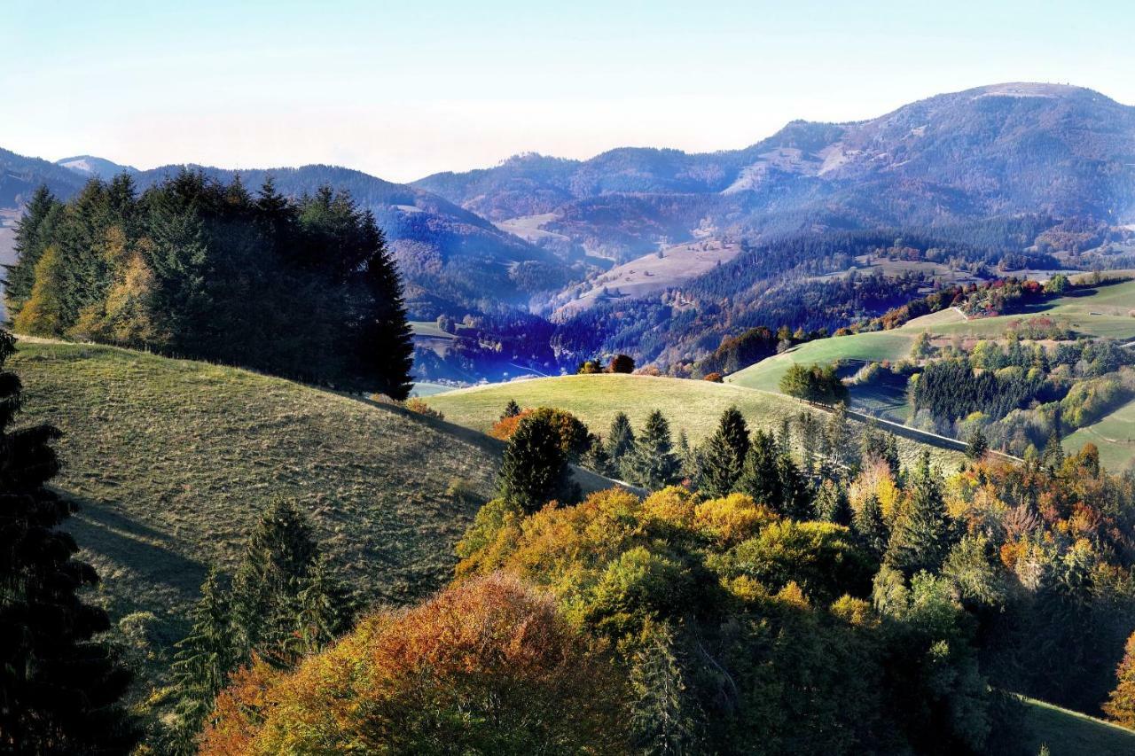 B4 Albmatte-FEWO Menzenschwand-Hinterdorf Exterior foto