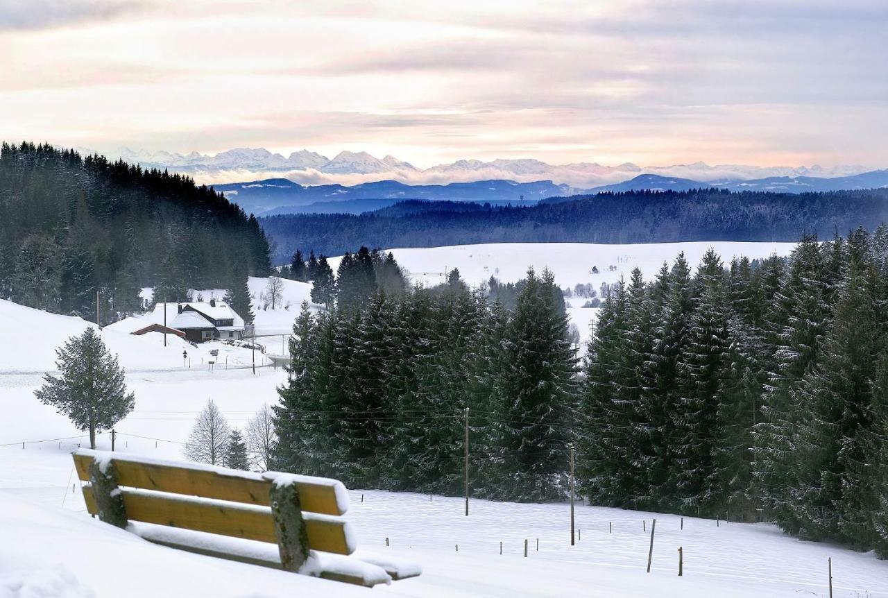 B4 Albmatte-FEWO Menzenschwand-Hinterdorf Exterior foto