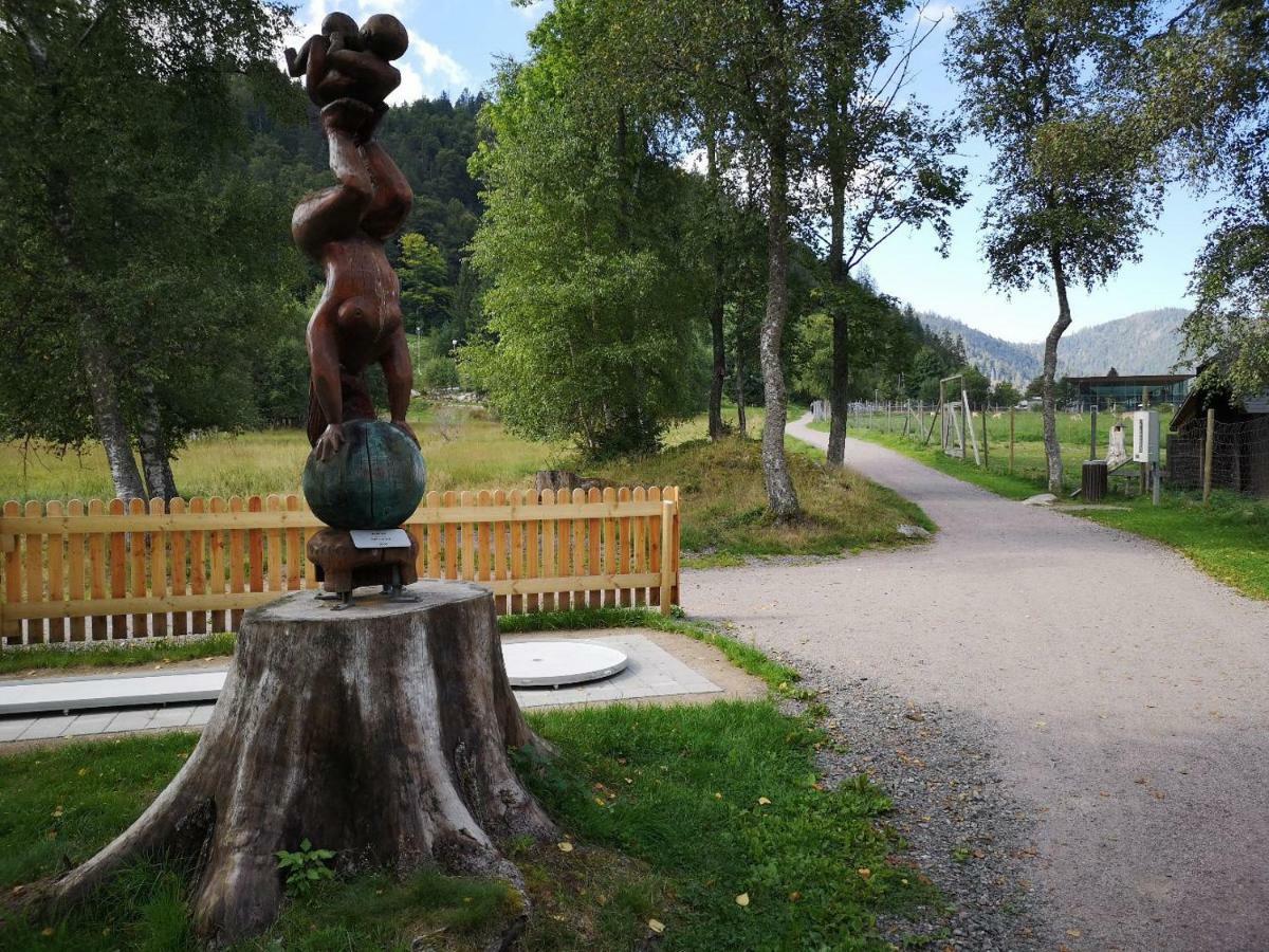 B4 Albmatte-FEWO Menzenschwand-Hinterdorf Exterior foto