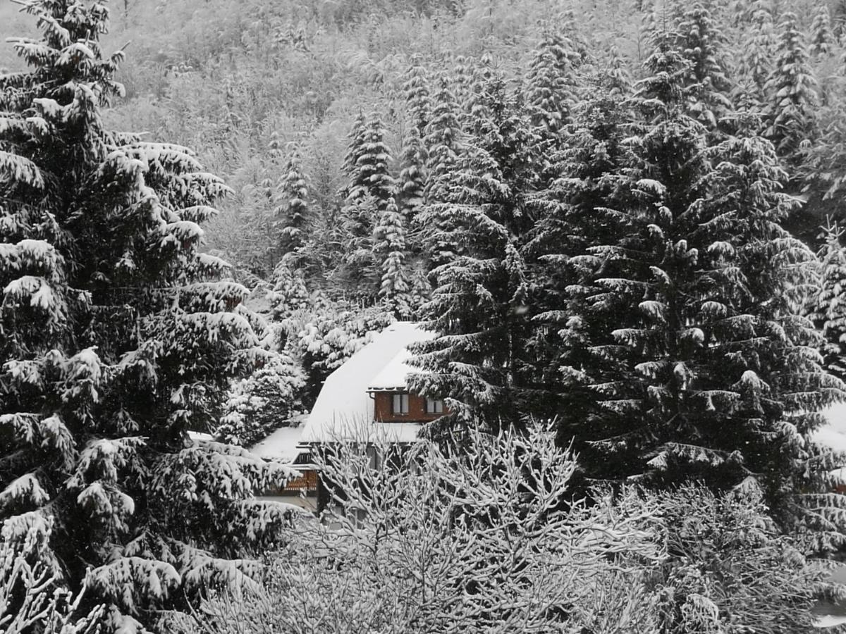 B4 Albmatte-FEWO Menzenschwand-Hinterdorf Exterior foto